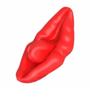 VIBRADOR EM FORMATO DE BOCA POR APLICATIVO