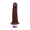 Pênis Vibrador Multivelocidade 17 X 3,5 Cm